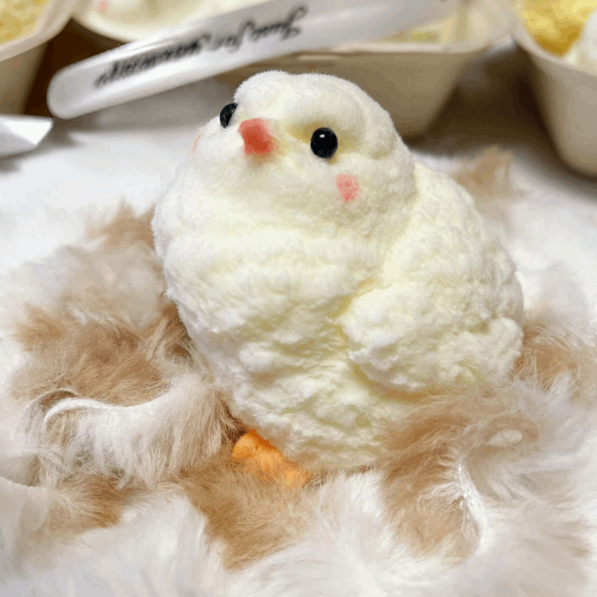 Chick Squishy